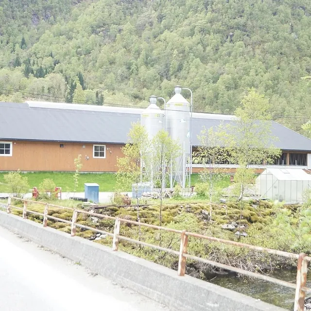 brunt fjøs